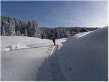 Grahovše - Planina Zgornja Konjščica